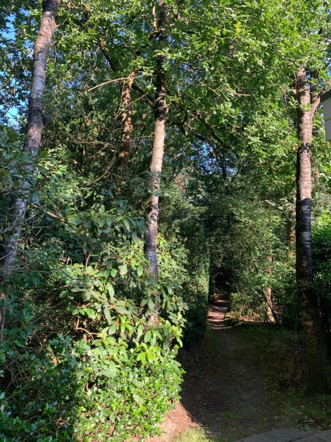 De Spitse Egel: Ontdek De Pareltjes In De Natuur! オッテルロ エクステリア 写真